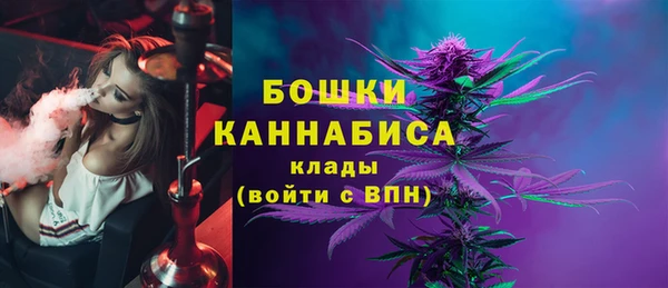 PSILOCYBIN Белоозёрский